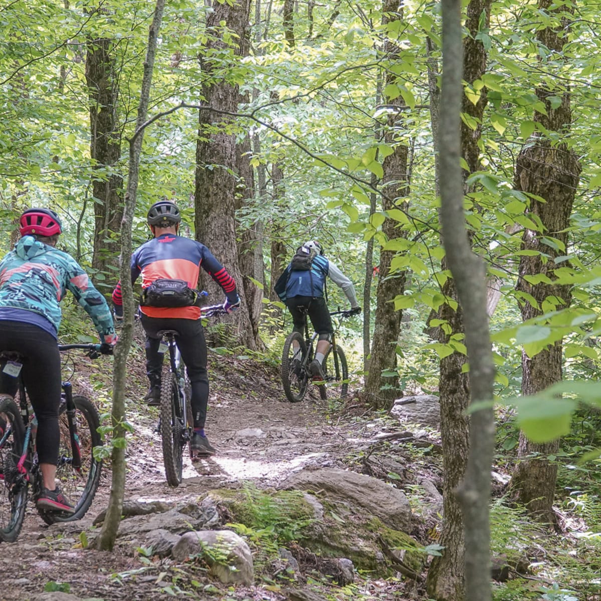 Vélo au Mont SUTTON
