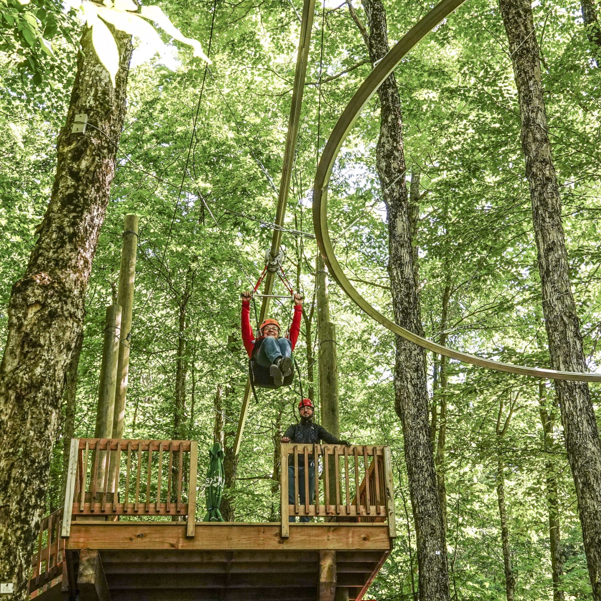 Zipline Coaster through the forest in the summer.