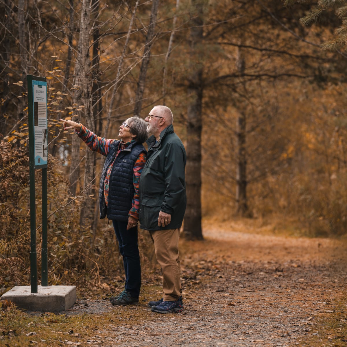 Municipalité d'Orford - A couple looking at an interpretive sign in a forest with autumn colors