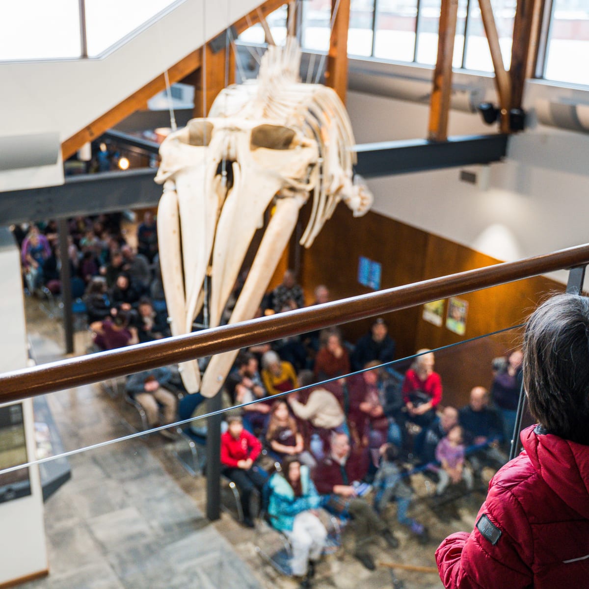 Musée de la nature et des sciences de Sherbrooke