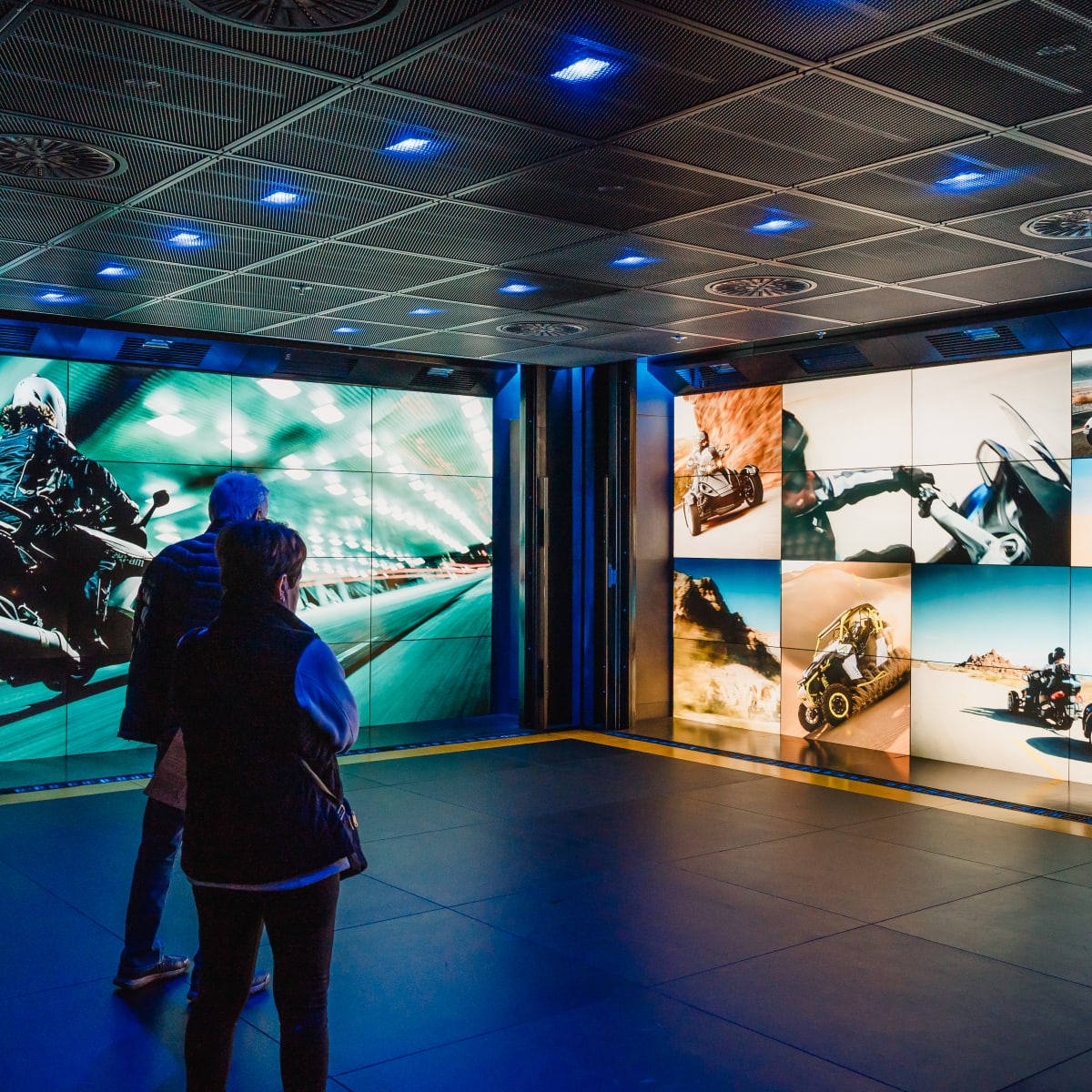 Multimedia experience