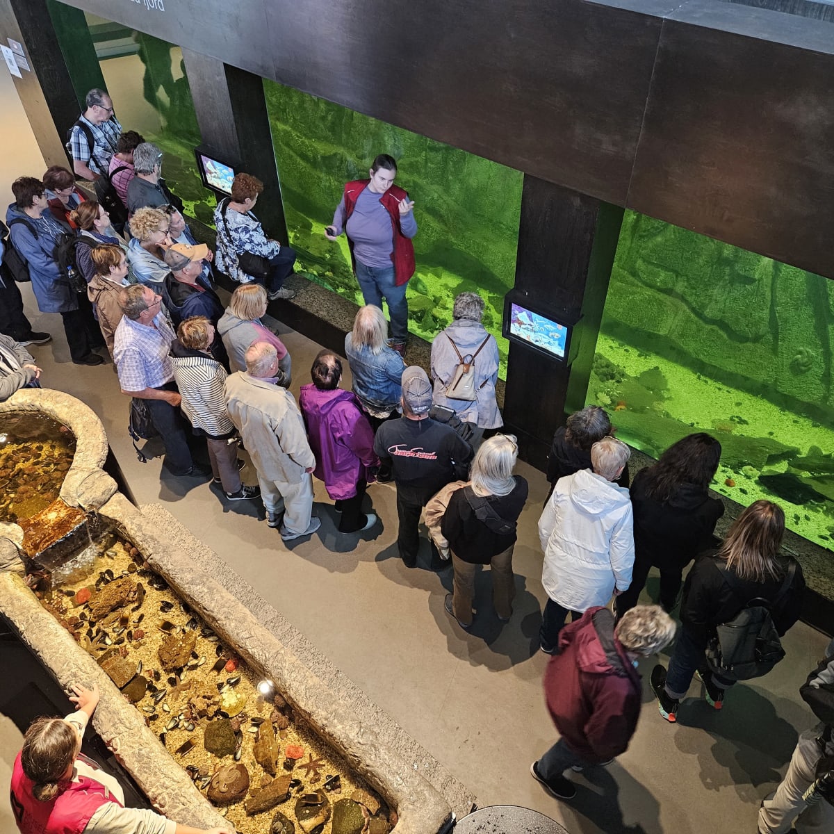 Aquarium - Musée du Fjord.