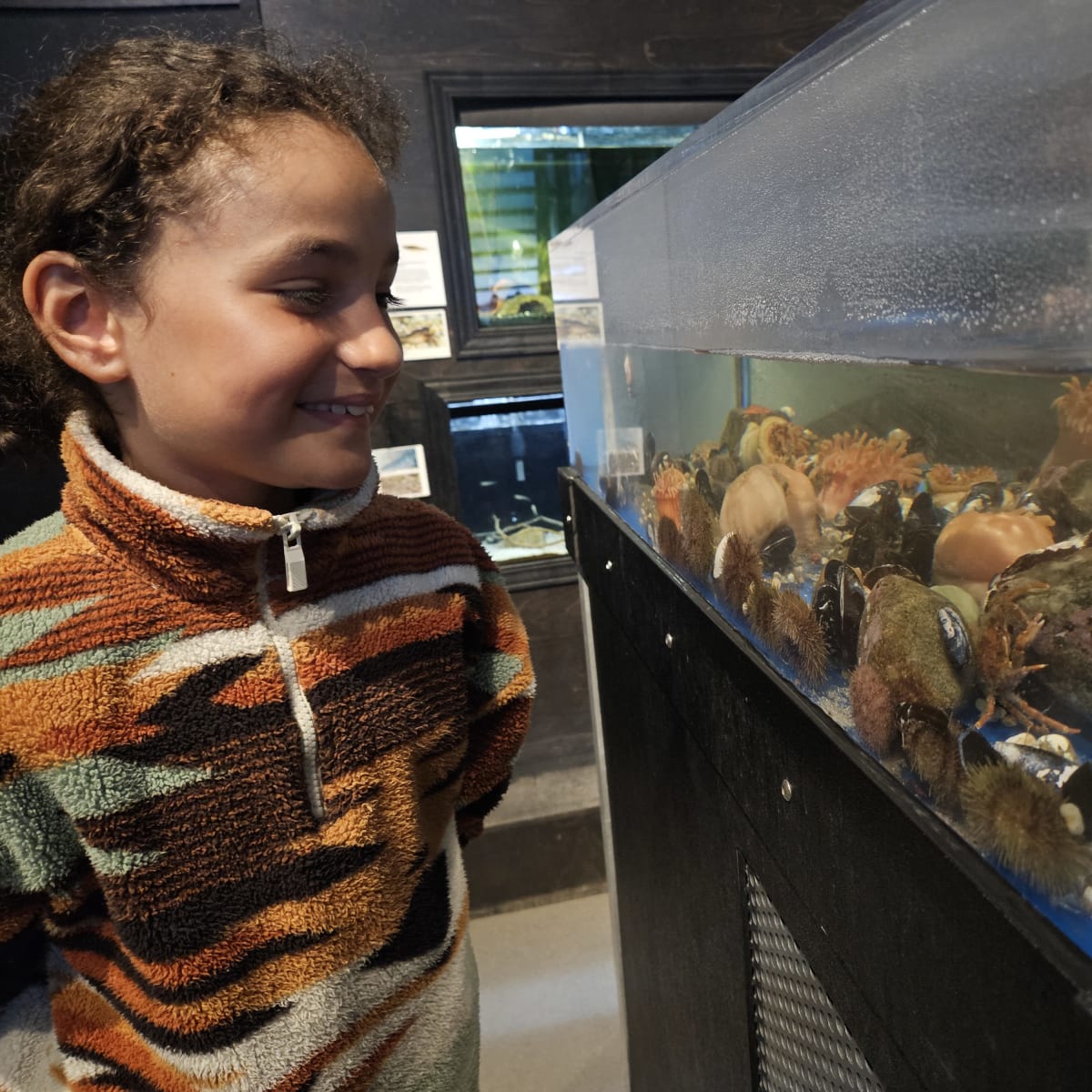 Aquarium - Musée du Fjord.