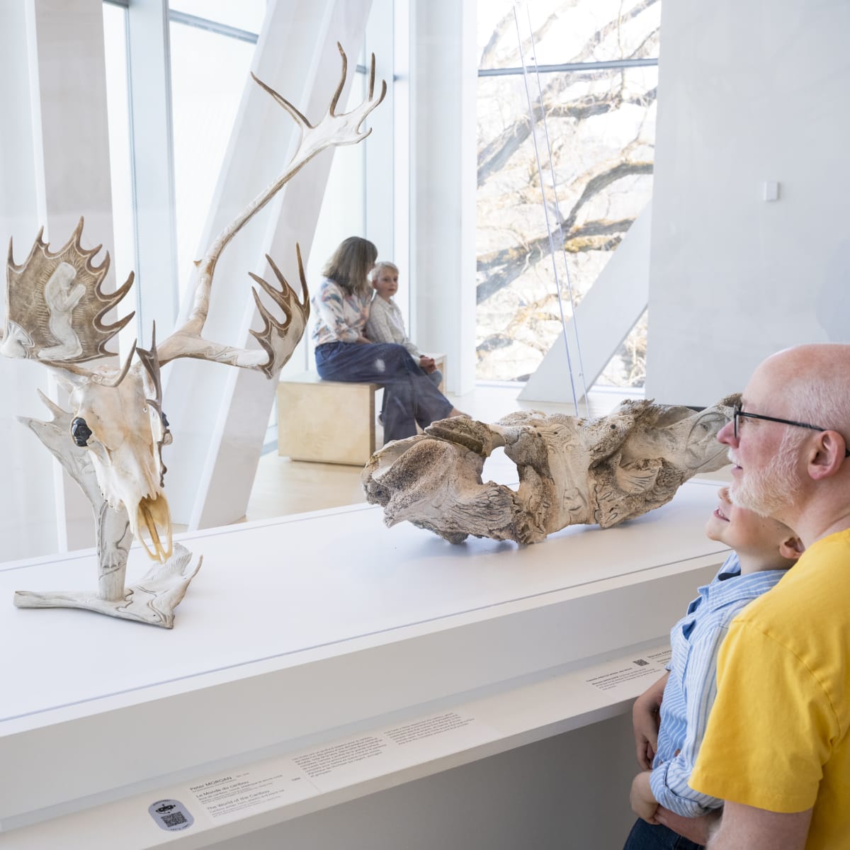 Musée national des beaux-arts du Québec