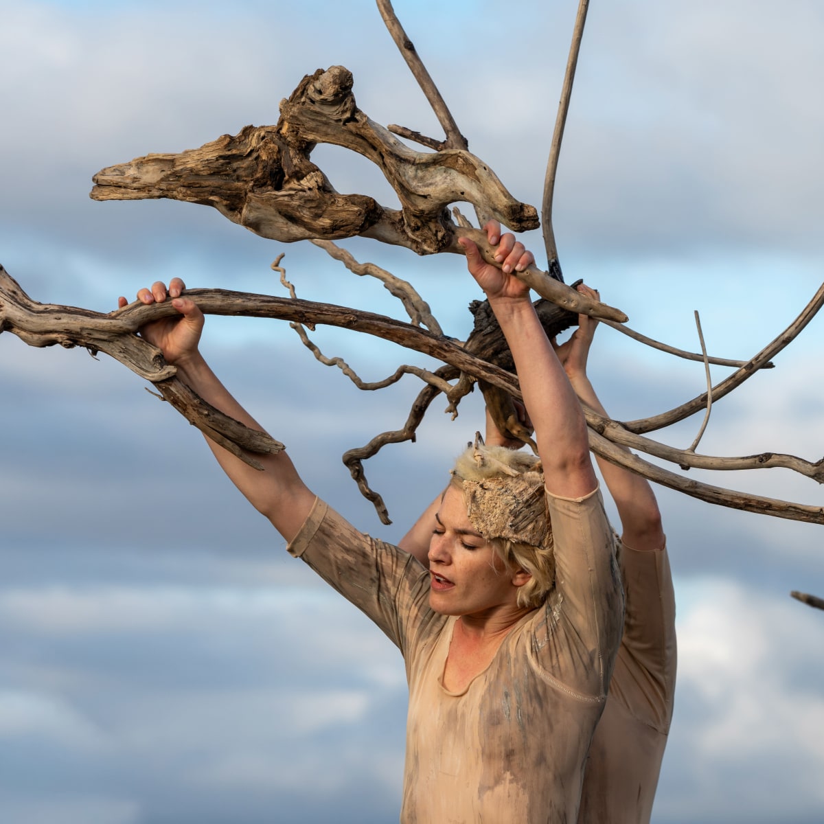 Êtres de Bois, Fleuve espace Danse.