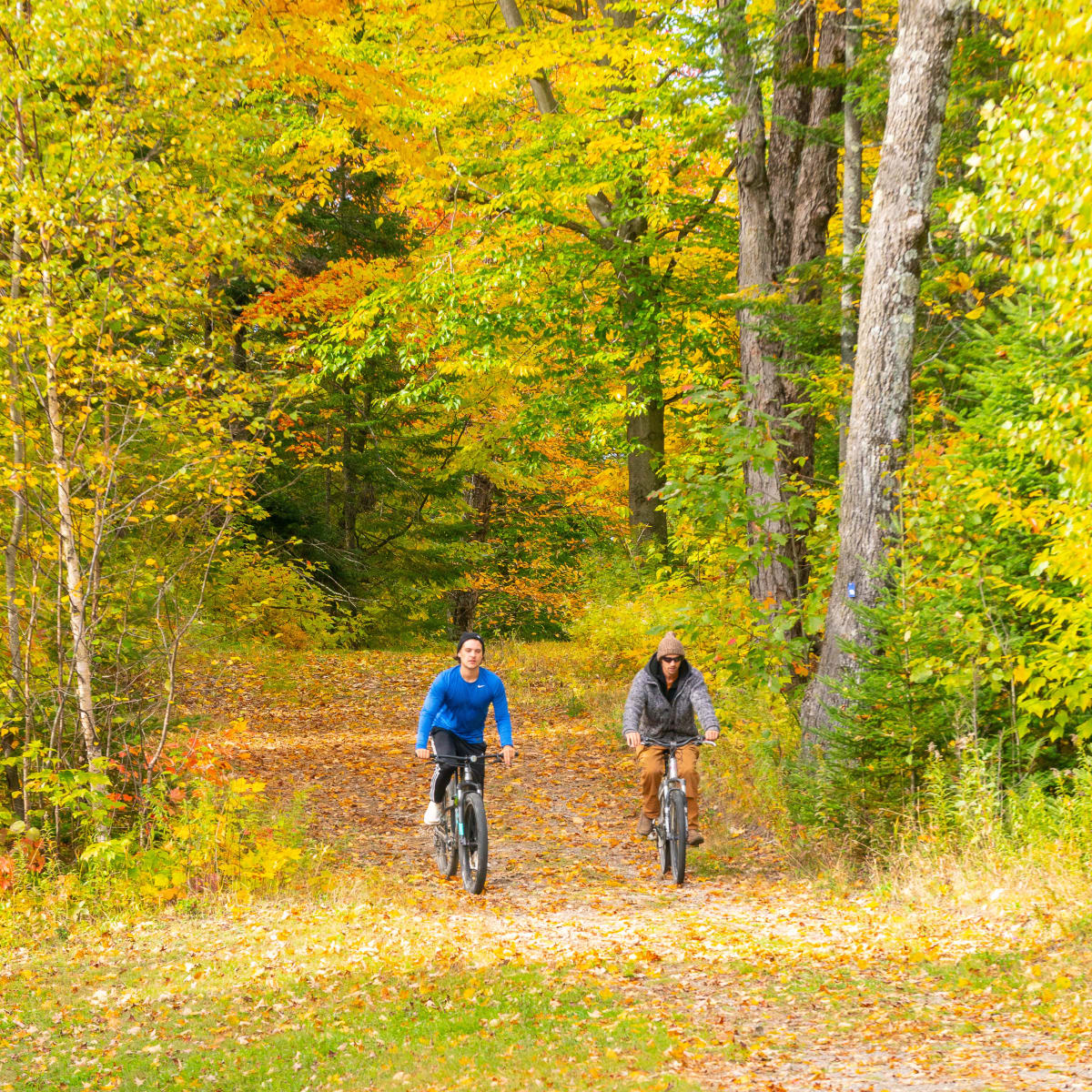 Deux personnes en vélo sur un sentier, le feuillage doré d'automne tout autour d'eux.