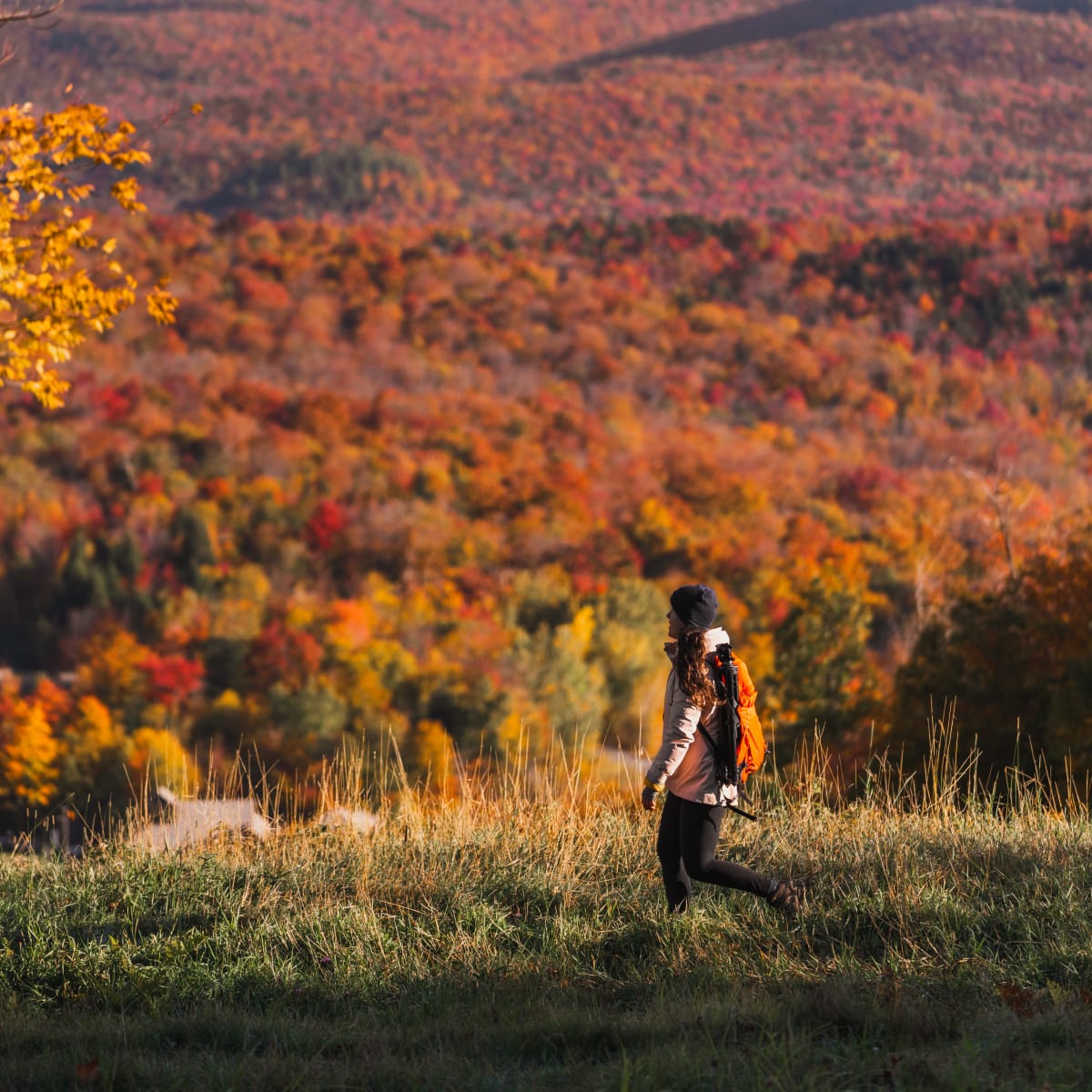 Personne faisant une randonnée en automne au Mont Orford.
