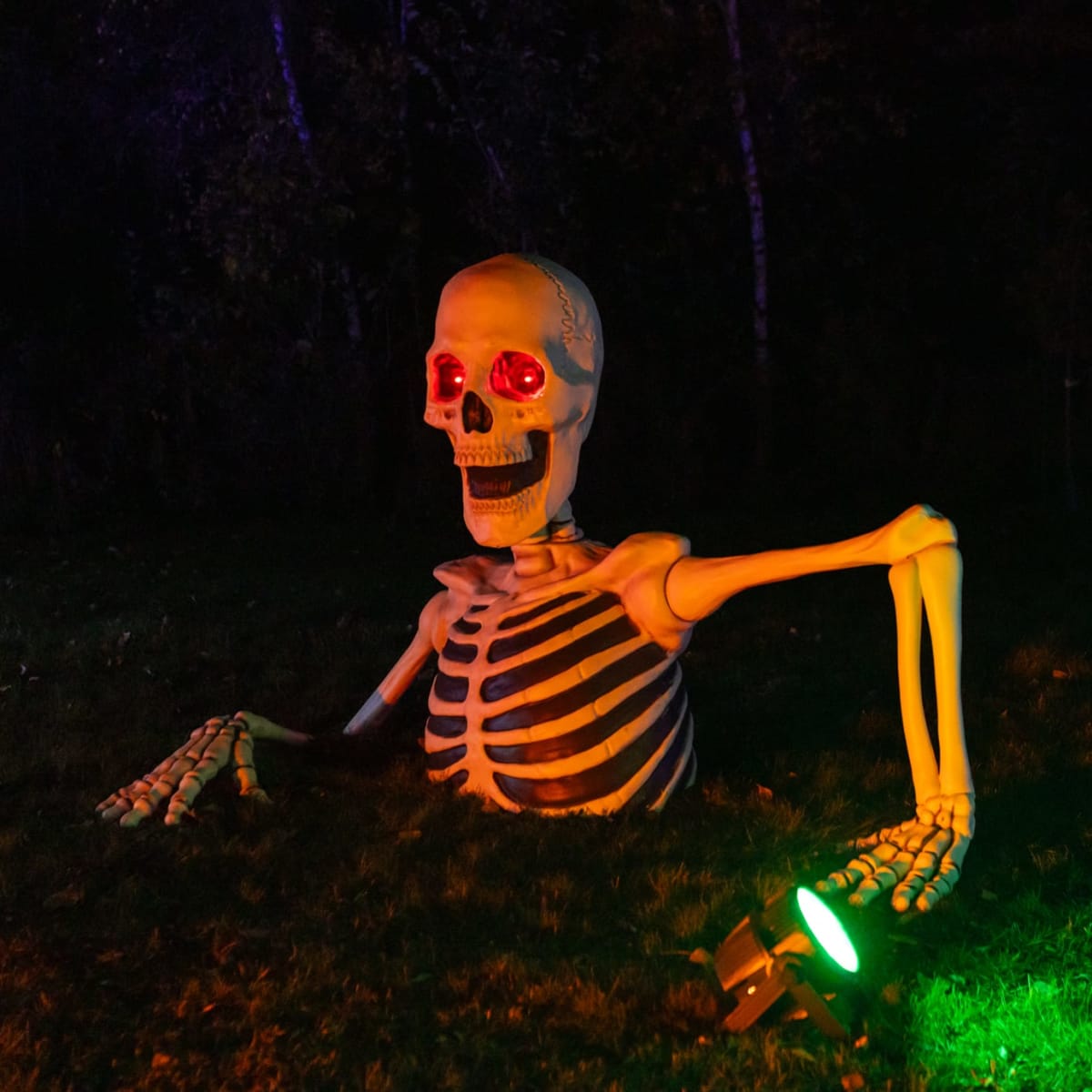 Skeleton at Festival Frissons.