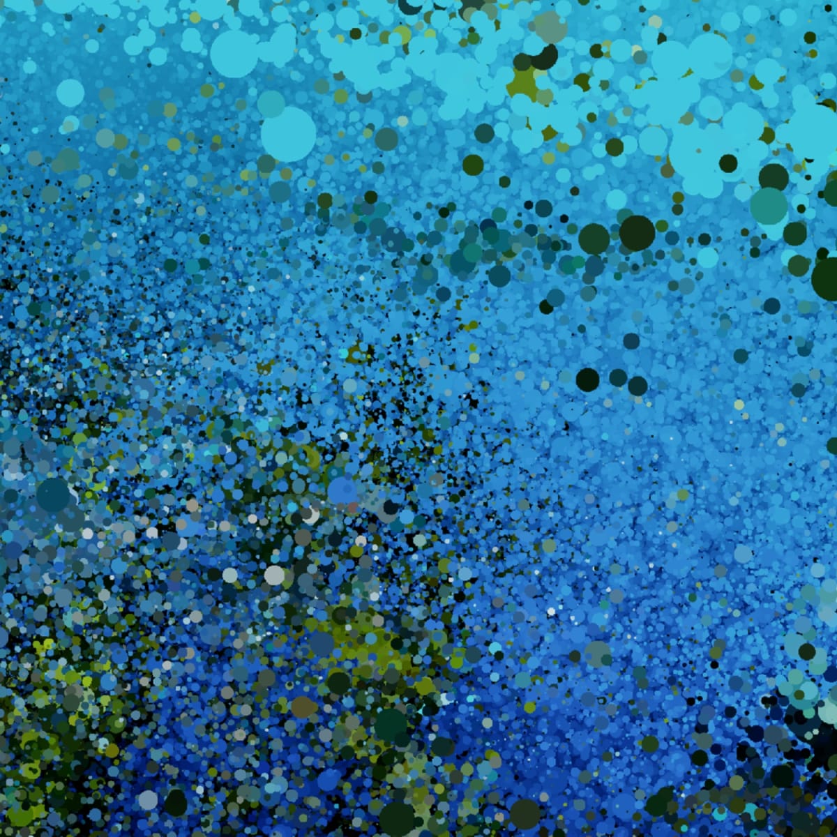 Panorama Experience. 