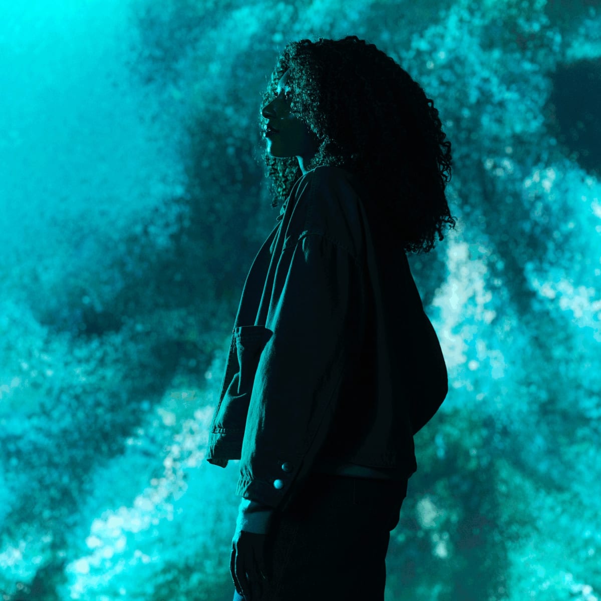 Panorama Experience. 