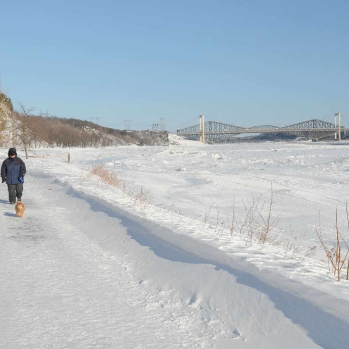 Deux personnes qui marchent avec leur chien l'hiver au Parc de la plage Jacques-Cartier.