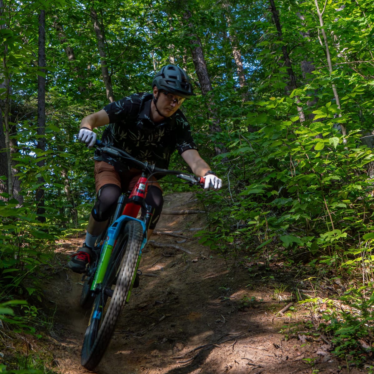 Vélo de montagne au Parc de la rivière Batiscan.