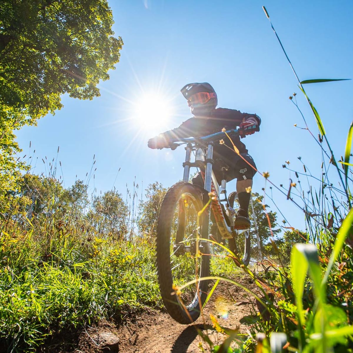 Sommet Saint-Sauveur Bike Park