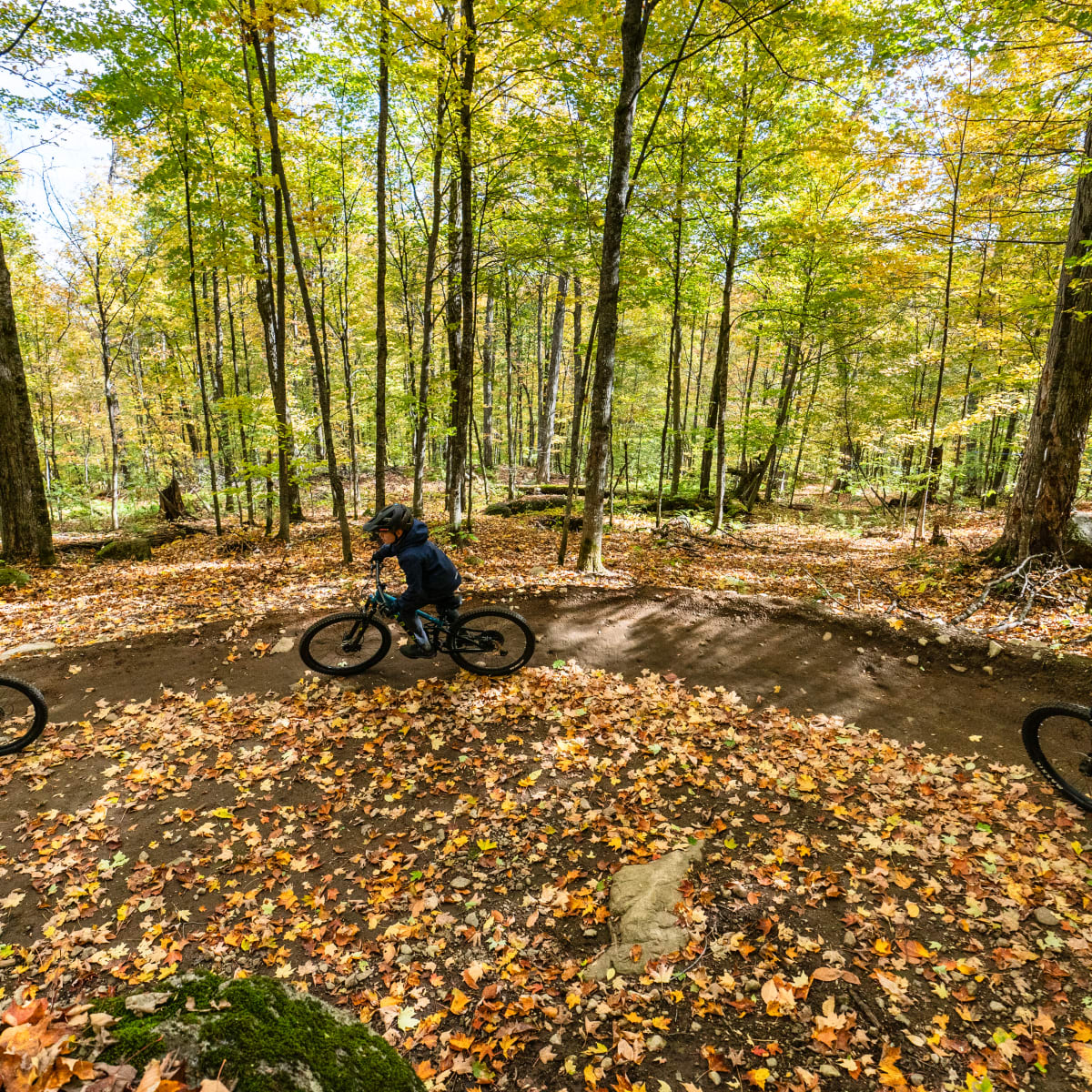 Sommet Saint-Sauveur Bike Park