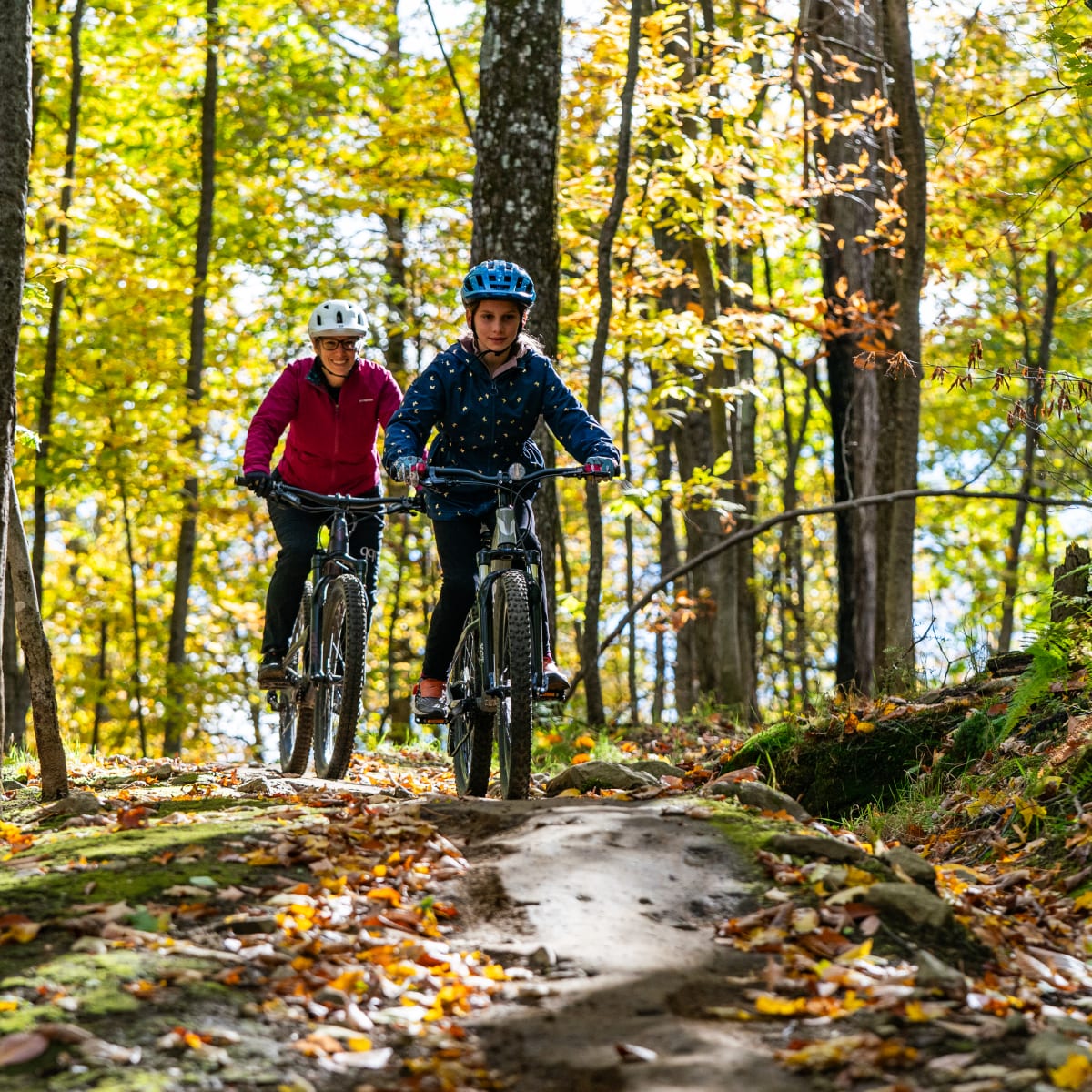 Sommet Saint-Sauveur Bike Park