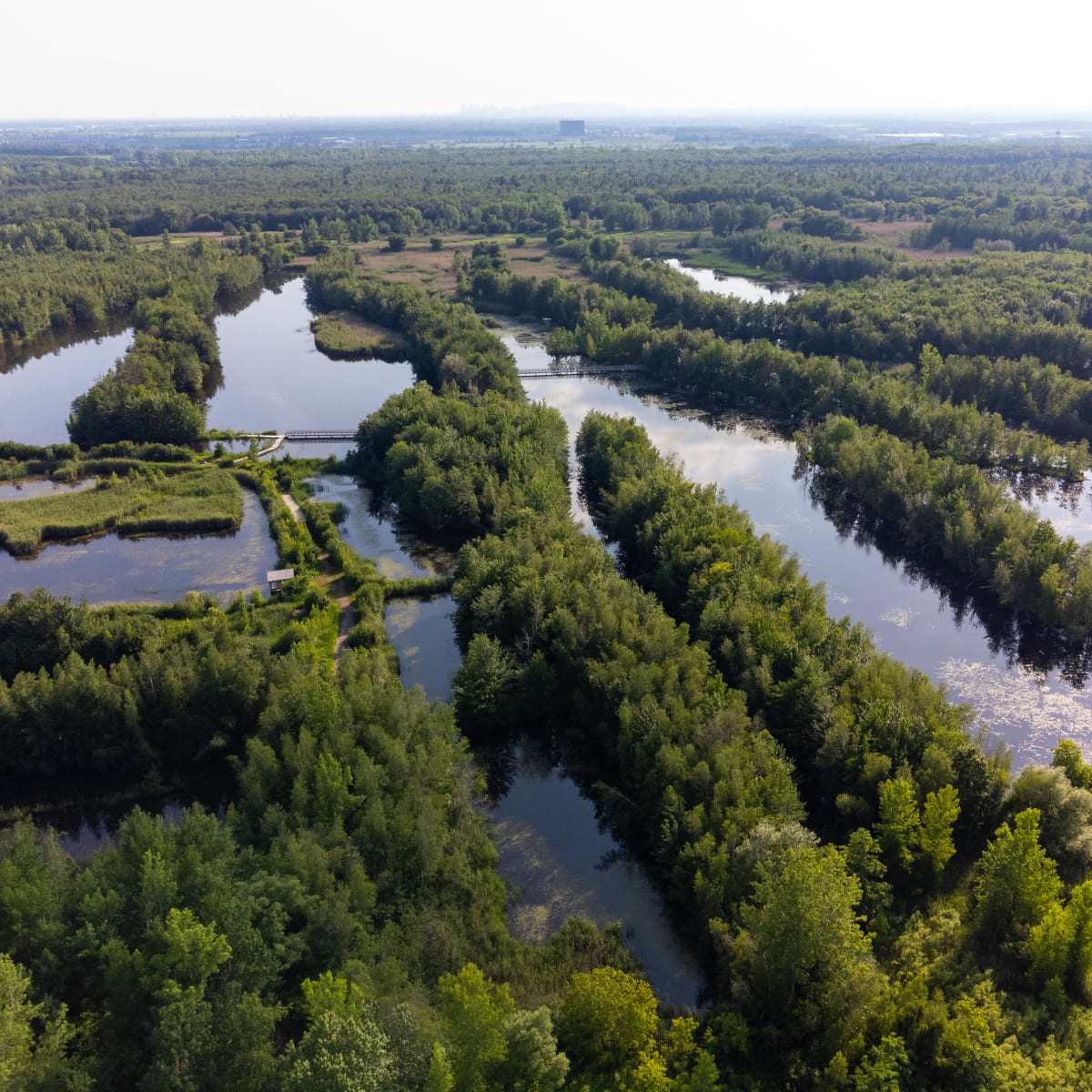 Aerial view of the park in summer, with its many ponds.
