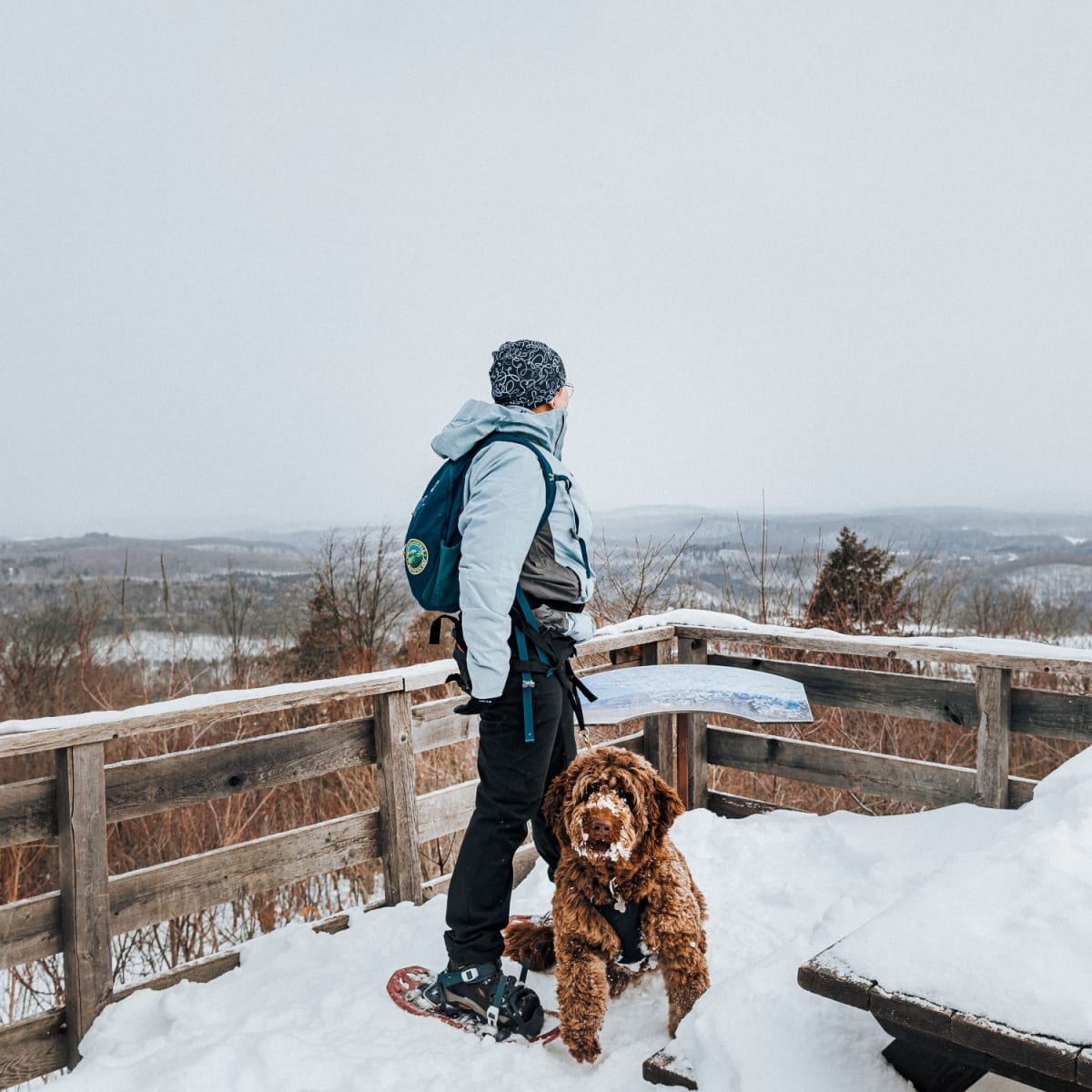 Winter viewpoint with a hiker and a dog in Parc des Montagnes Noires de Ripon.