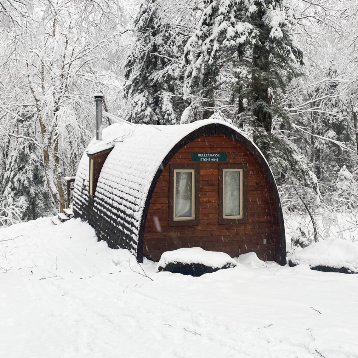 Family POD in winter