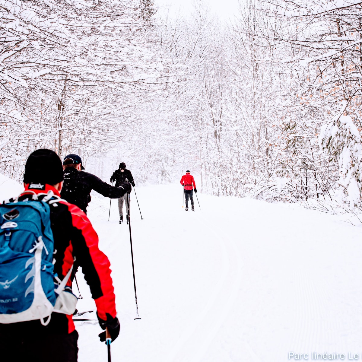 Parc linéaire Le P'tit Train du Nord