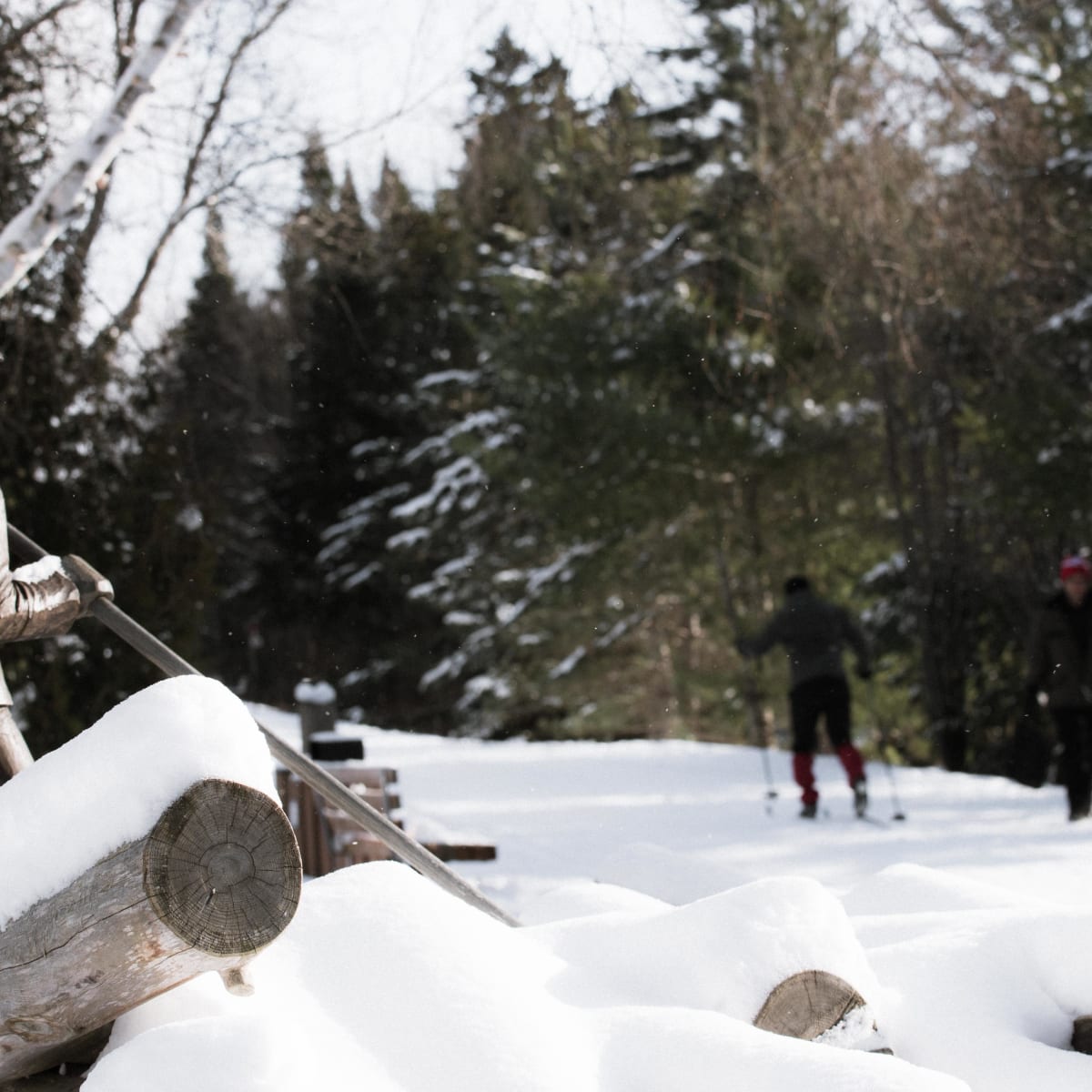 Parc linéaire Le P'tit Train du Nord