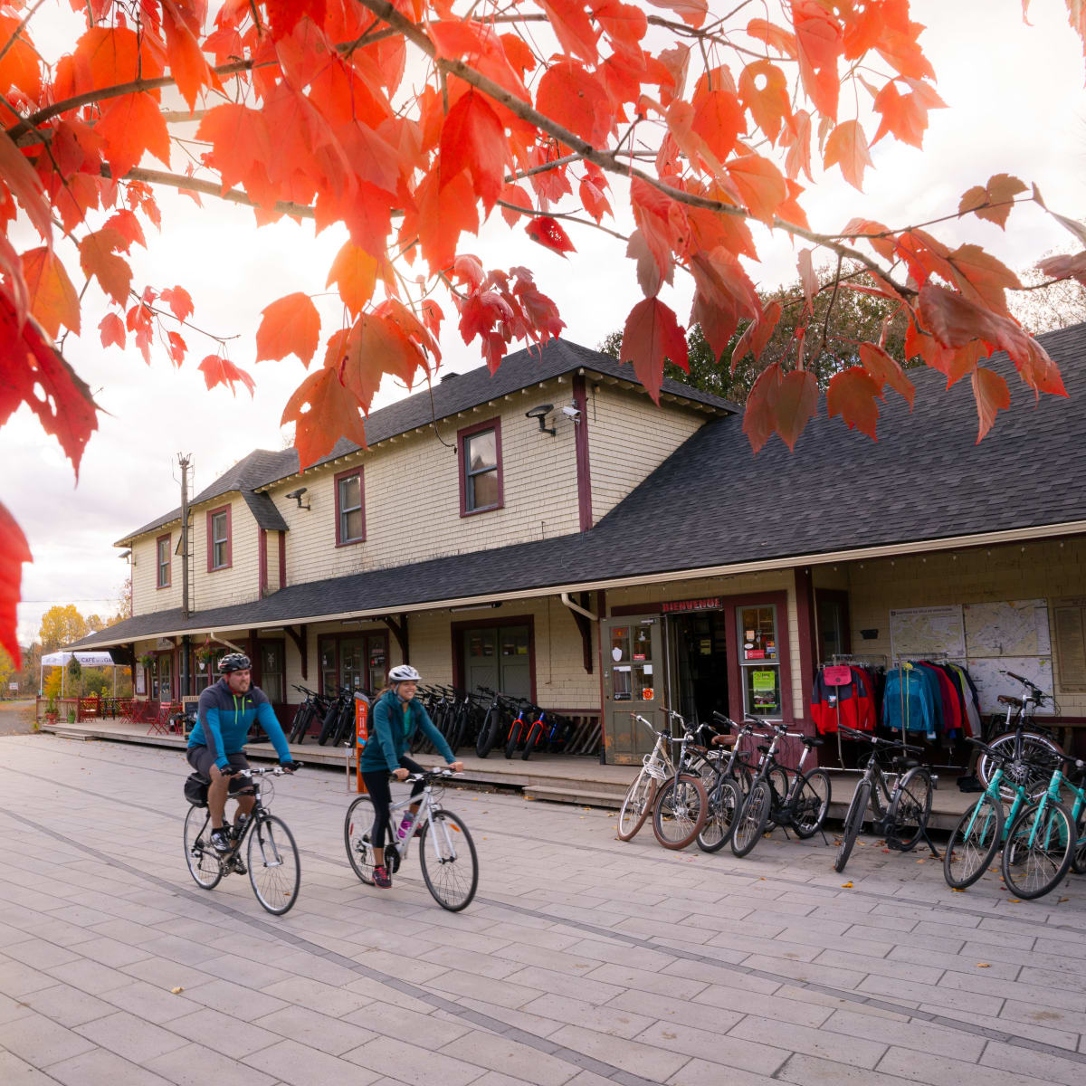 Feuilles d'érable rouge et 2 cyclistes à vélo.