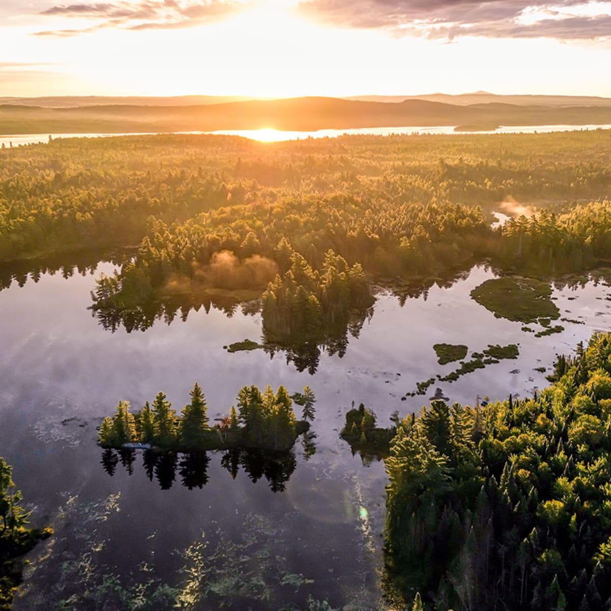 Vue aérienne de la forêt du Parc national de Frontenac.