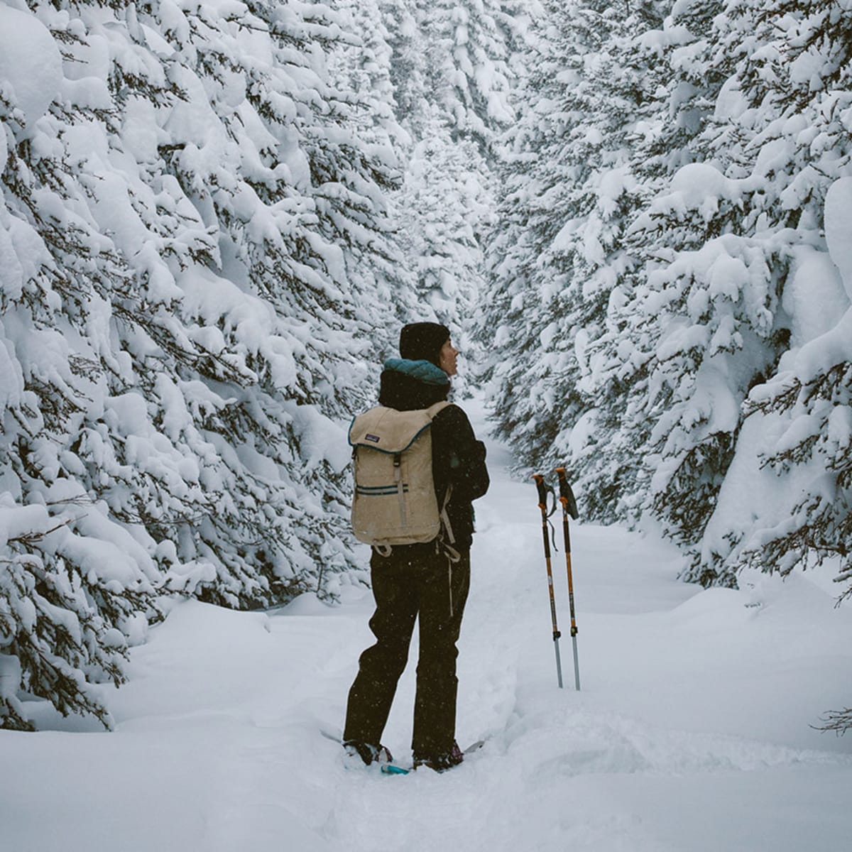 Une personne entourée de sapins enneigés au Parc national de la Gaspésie.