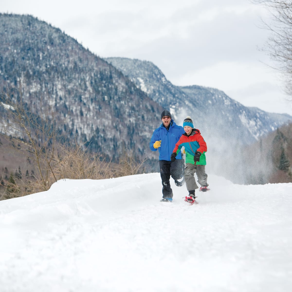 Parc national de la Jacques-Cartier