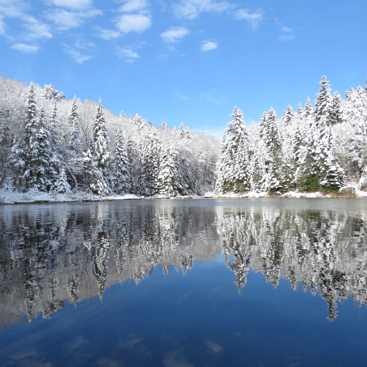 La Mauricie National Park in winter.