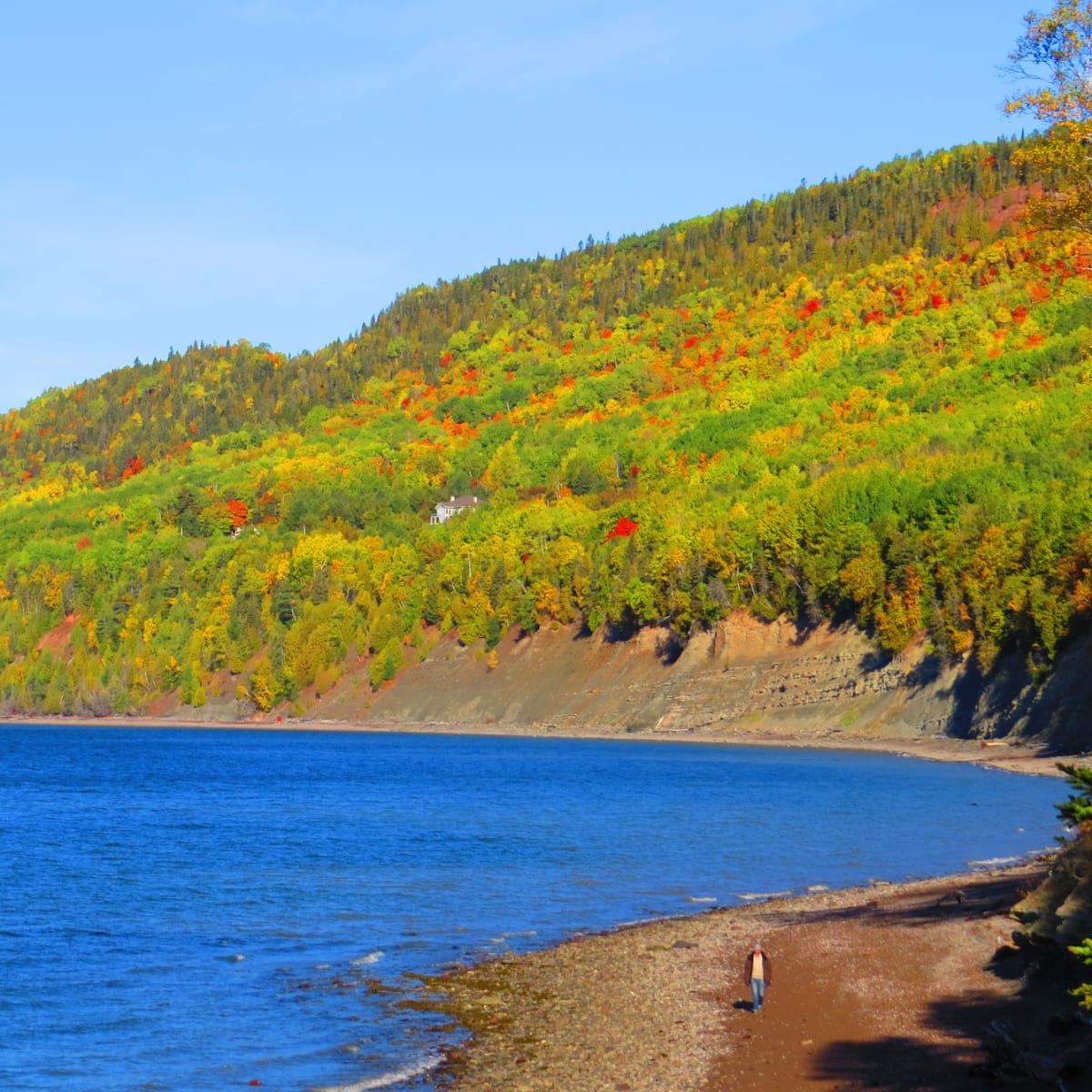 Le Parc national de Miguasha l'automne.