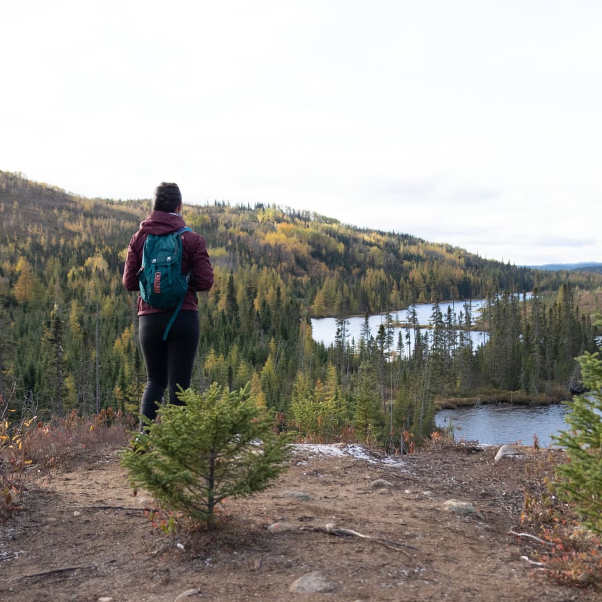 Une femme en randonnée au Parc national des Grands-Jardins, en automne.