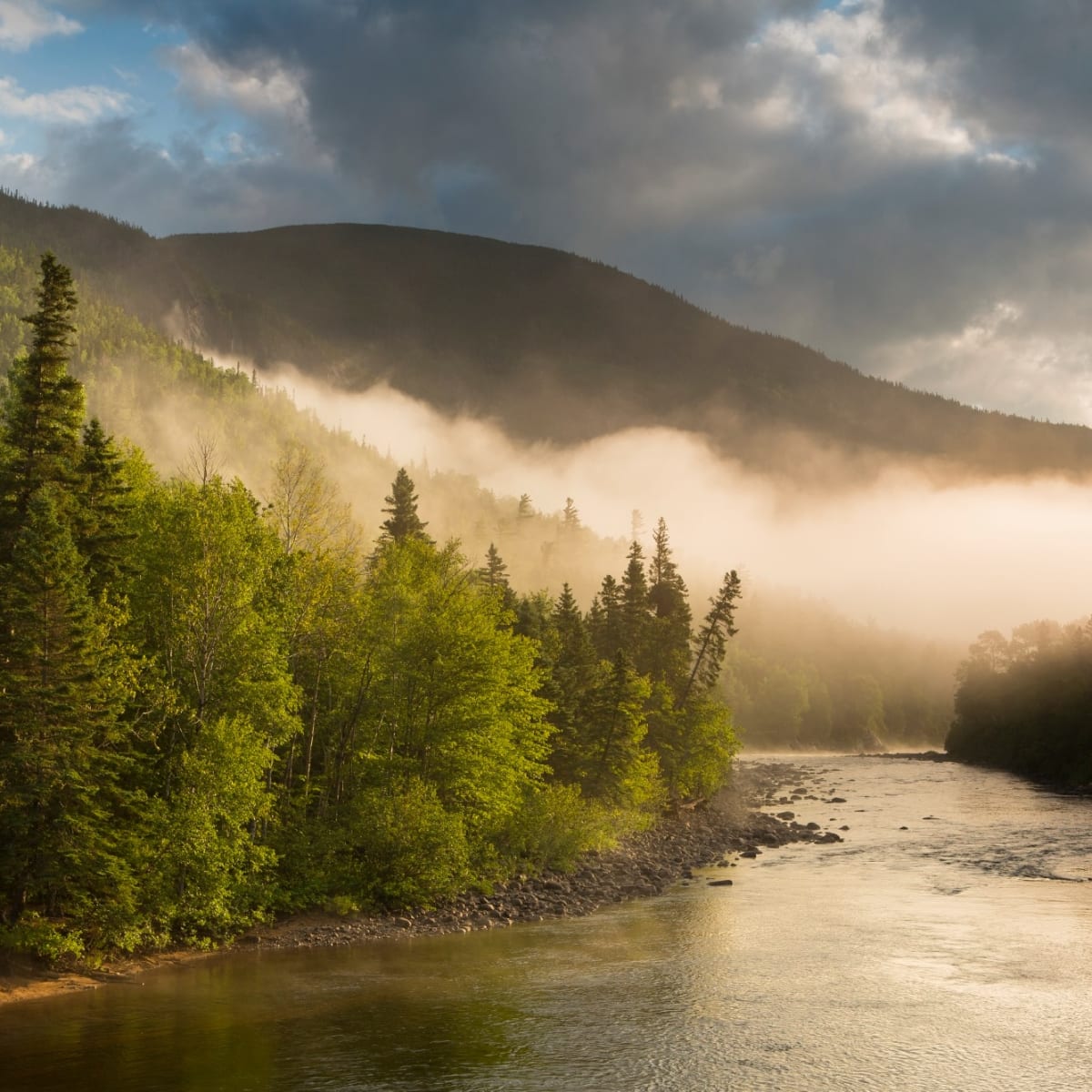 Scenery of the Parc national des Hautes-Gorges-de-la-Rivière-Malbaie.