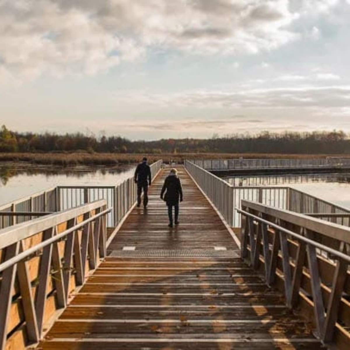Parc-nature du Bois-de-l'Île-Bizard Grand walkway
