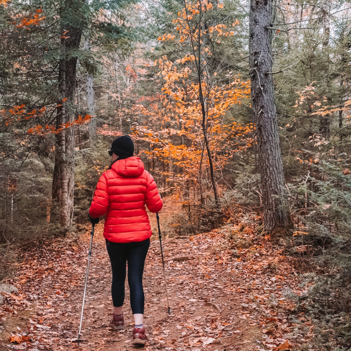 Woman on a stroll in the fall at parc national du Mont-Tremblant.