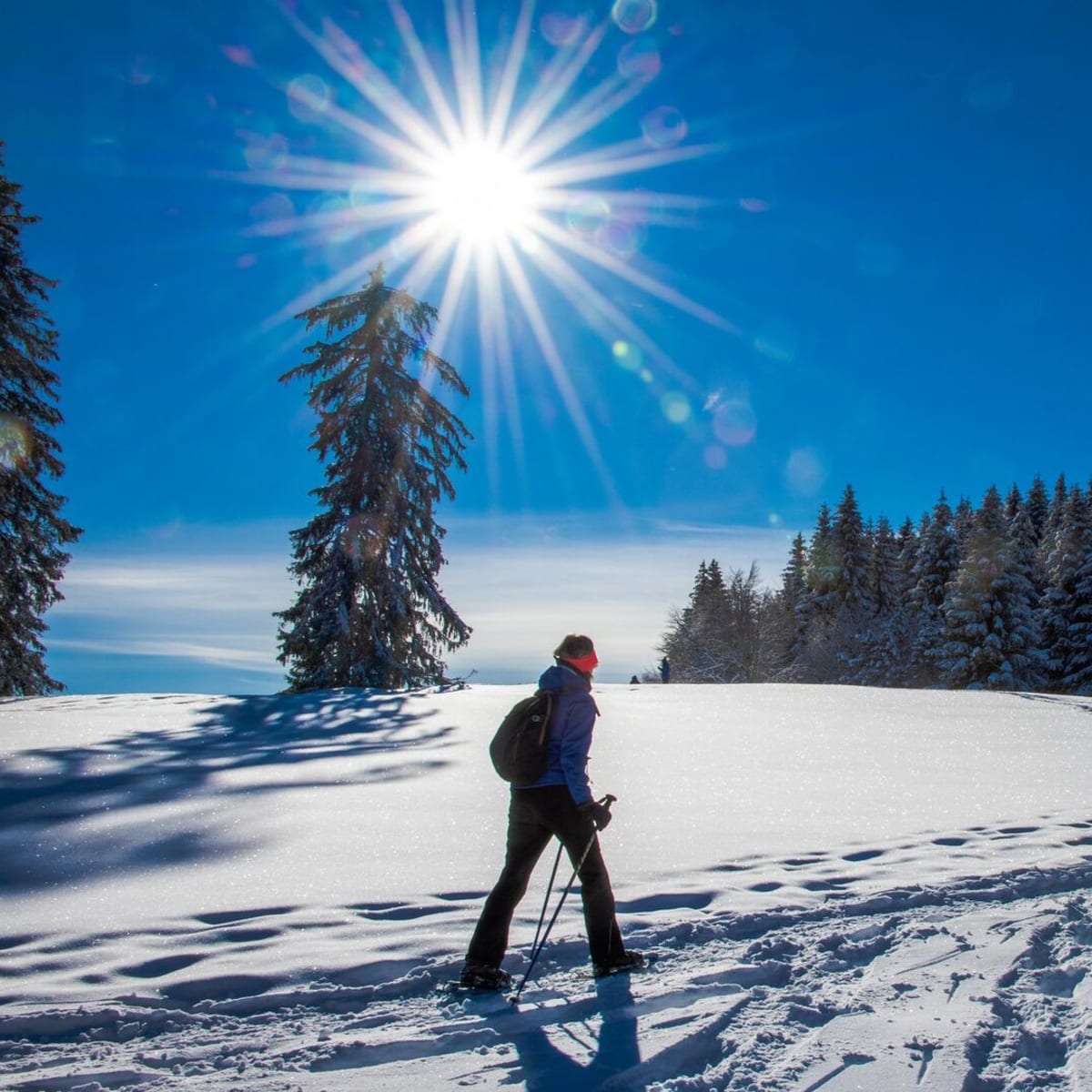 Raquette au Parc Octopus.