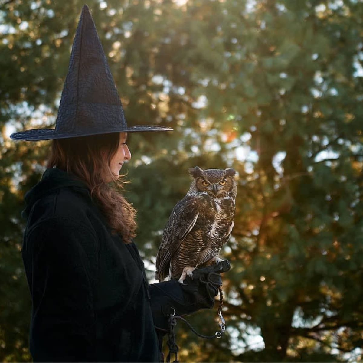 A witch with an owl on her arm.