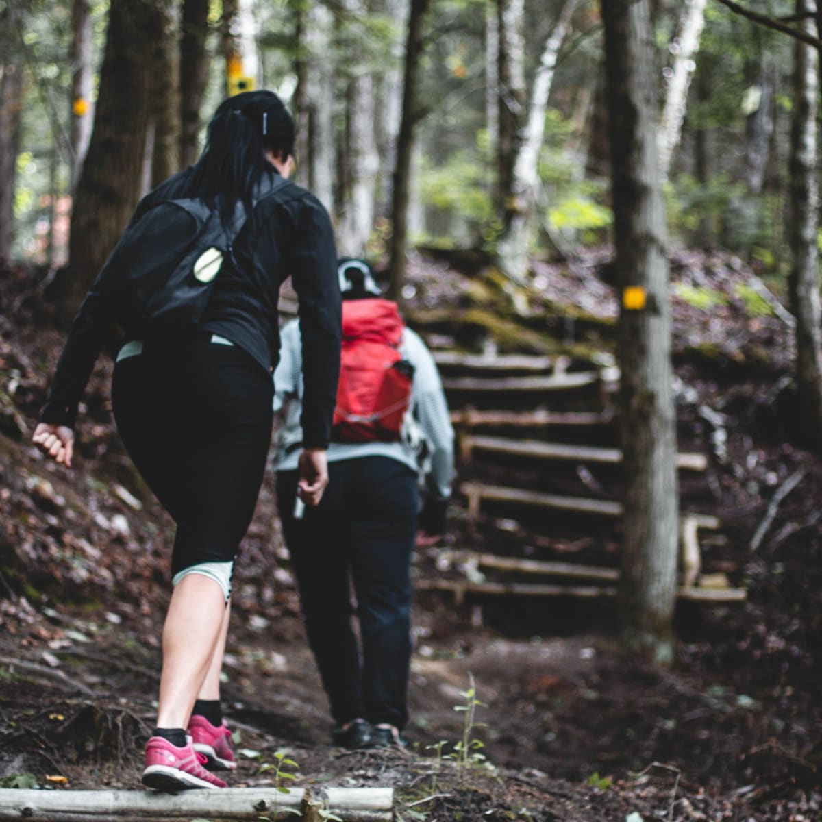 Friends hiking a trail.