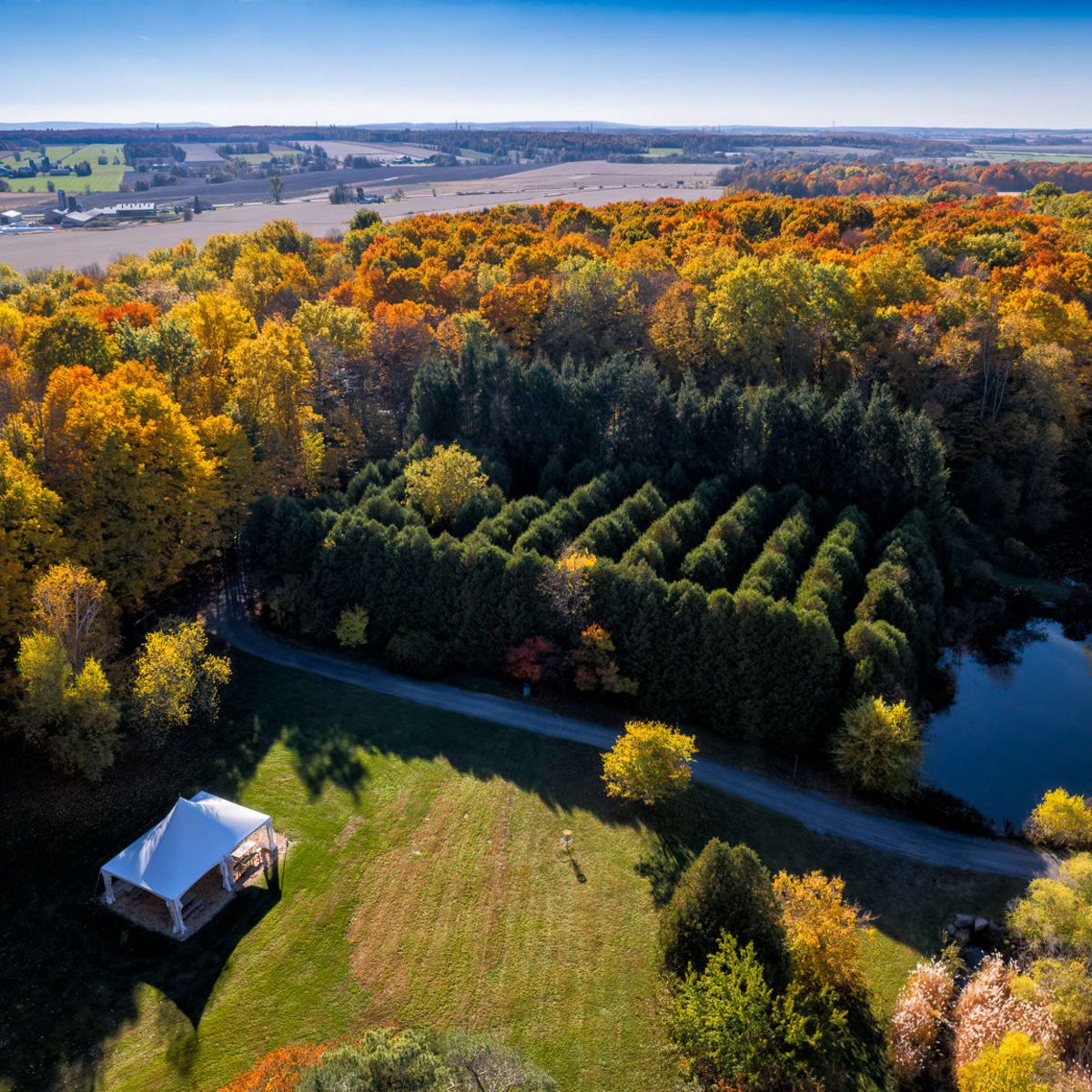 Parc régional Bois-de-Belle-Rivière
