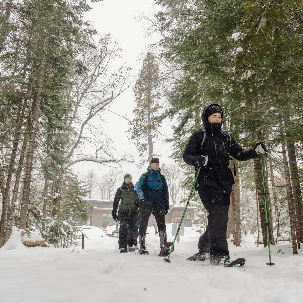 Trois personnes en raquette sur un sentier enneigé en forêt au parc régional Montagne du Diable.