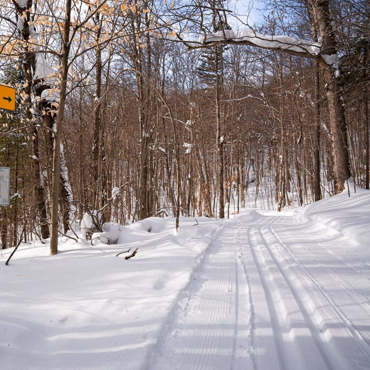 Piste de ski de fond au Parc régional Sainte-Agathe-des-Monts.