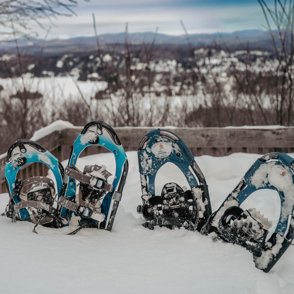 Raquettes au Parc régional Sainte-Agathe-des-Monts.