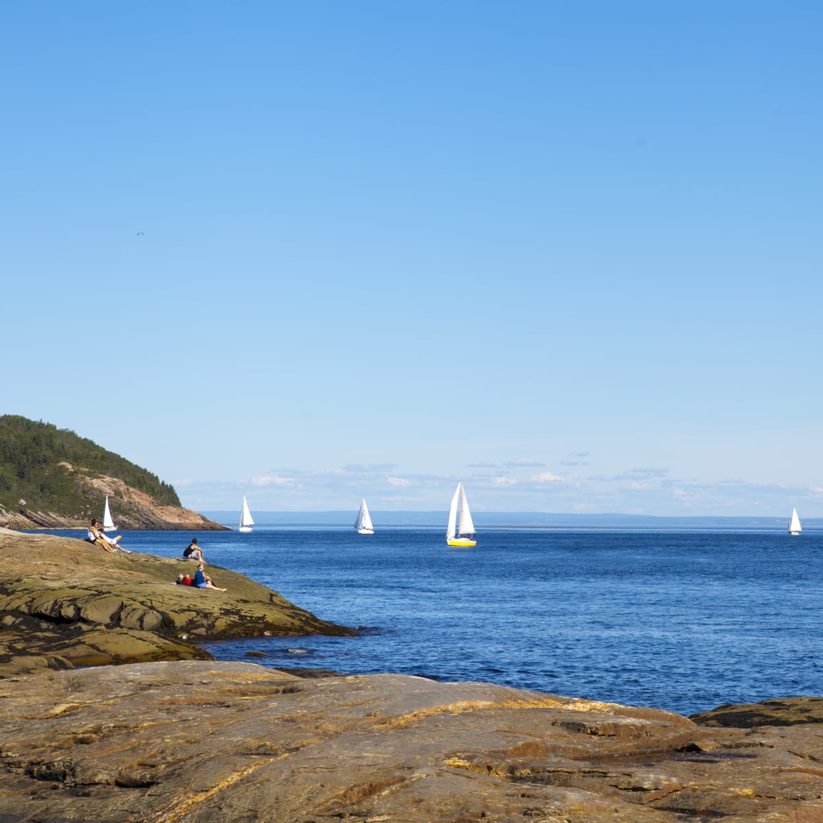Cap de Bon-Désir, Les Bergeronnes