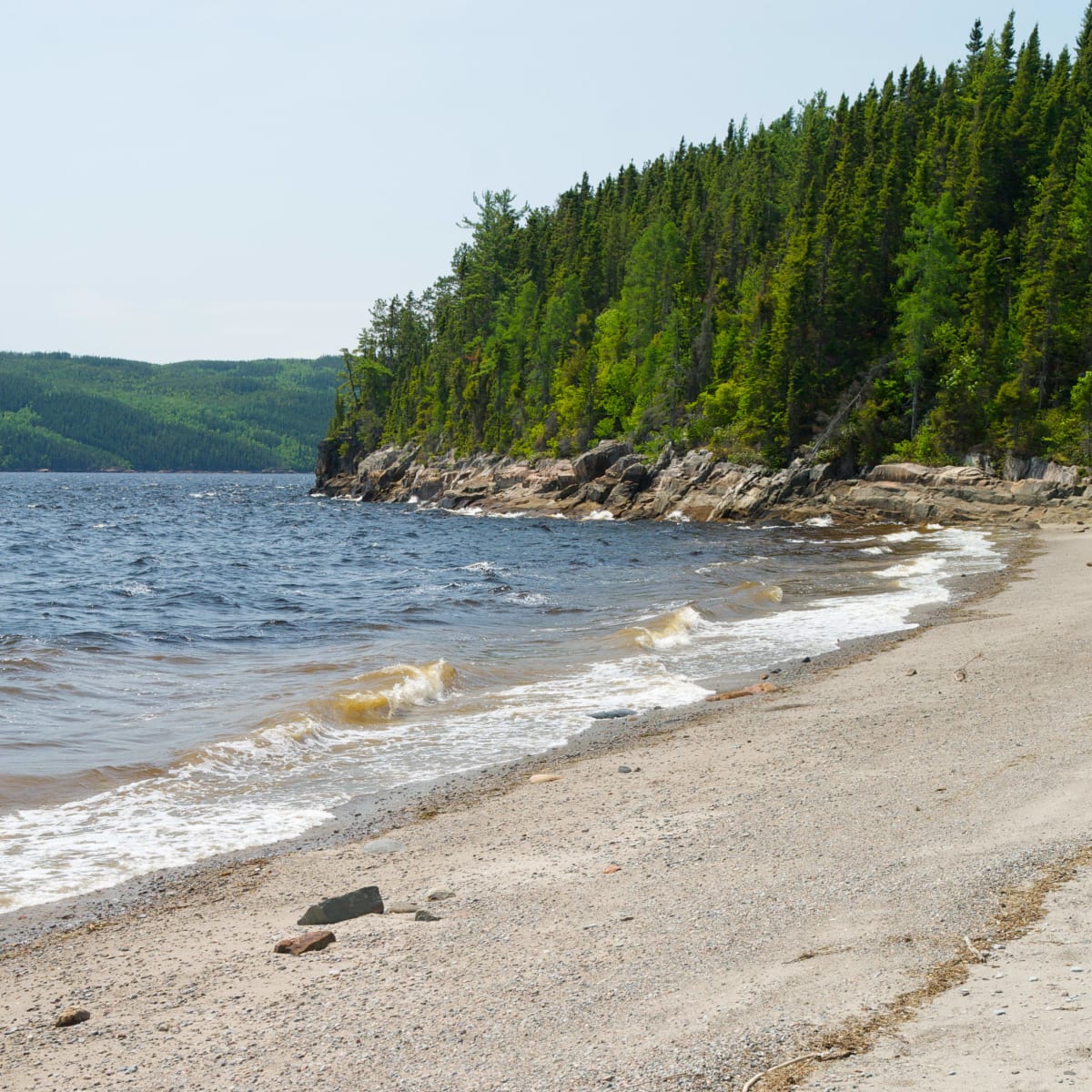 Plage de sable bordée d'eau et de forêts au Parc Aventures Cap-Jaseux.