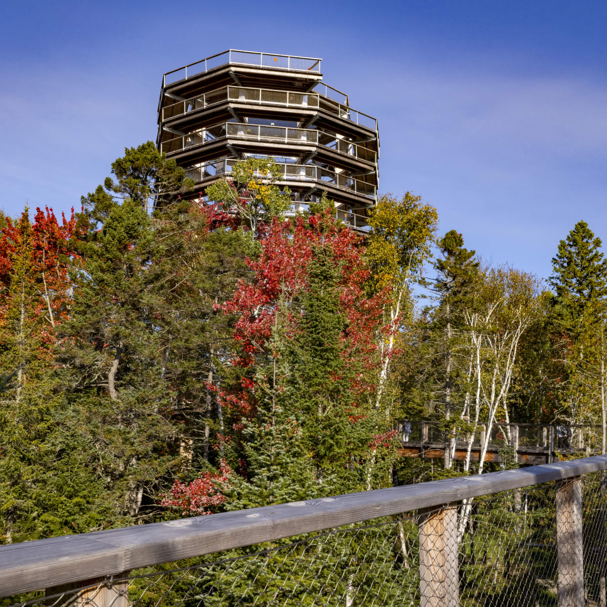 Fall at Sentier des cimes