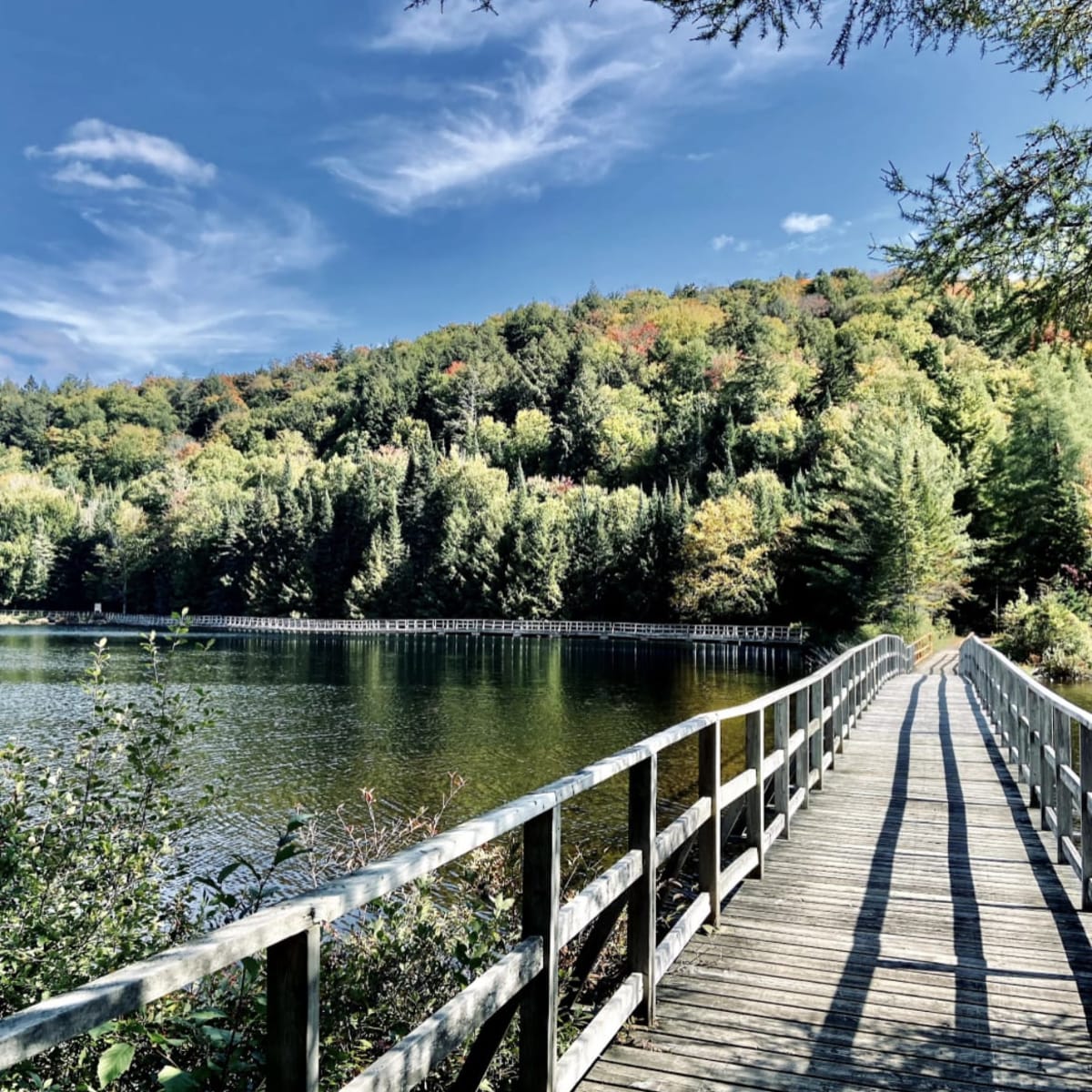 Footbridge at Parc-Éco Laurentides.