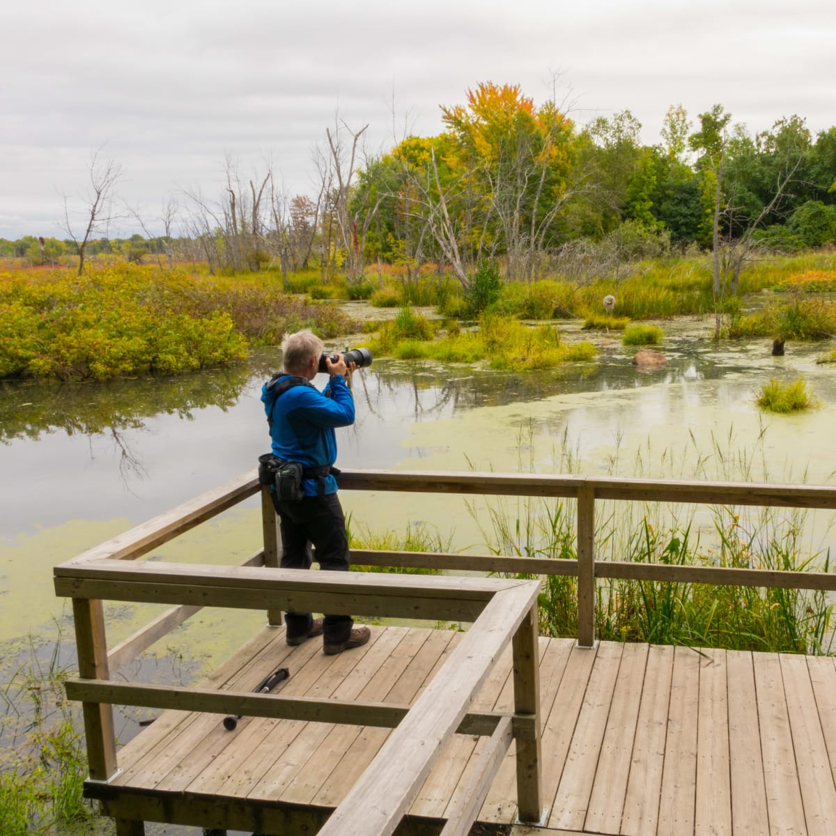 An ornithologist at an observation deck built on stilts. 