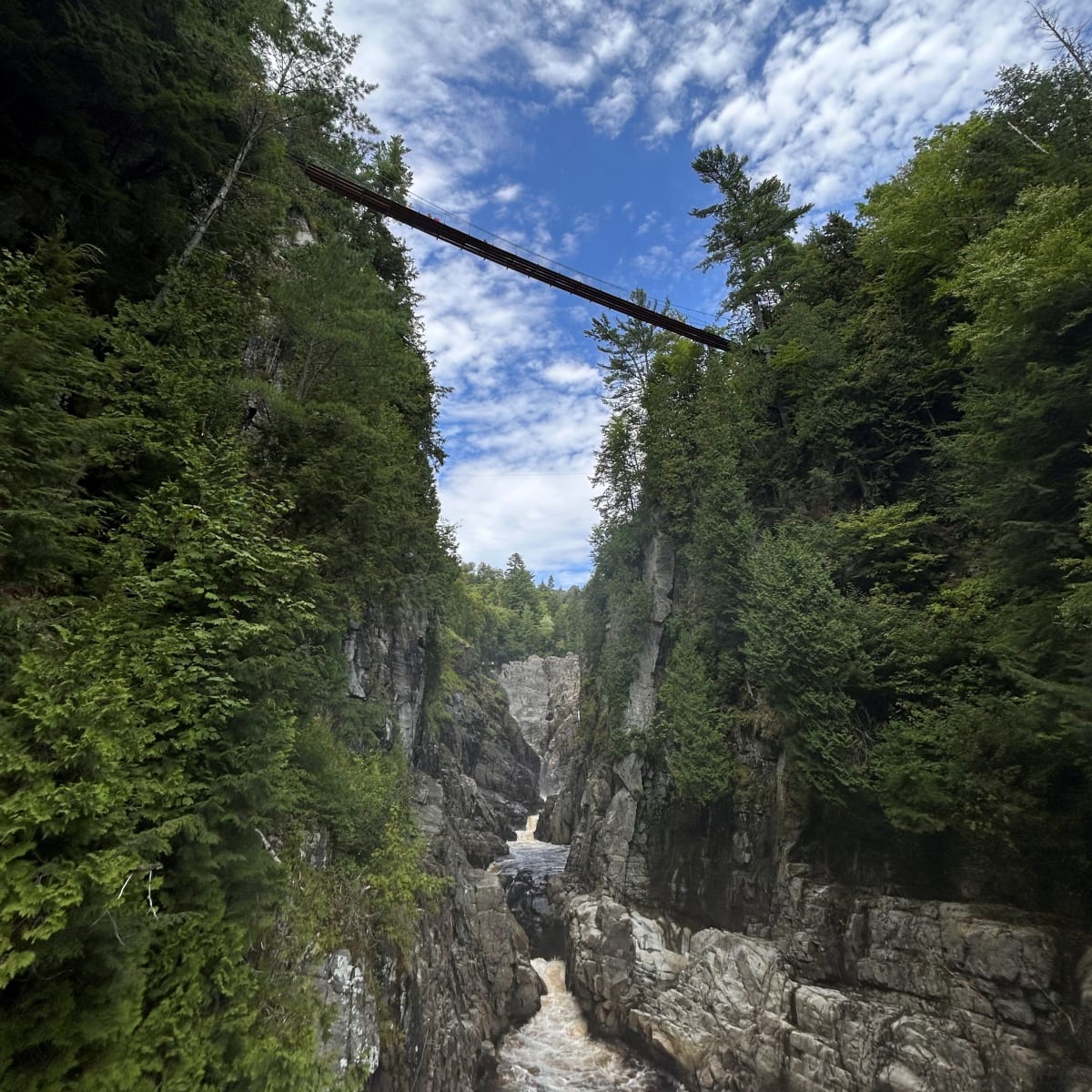 Suspended footbridge at Canyon Sainte-Anne.