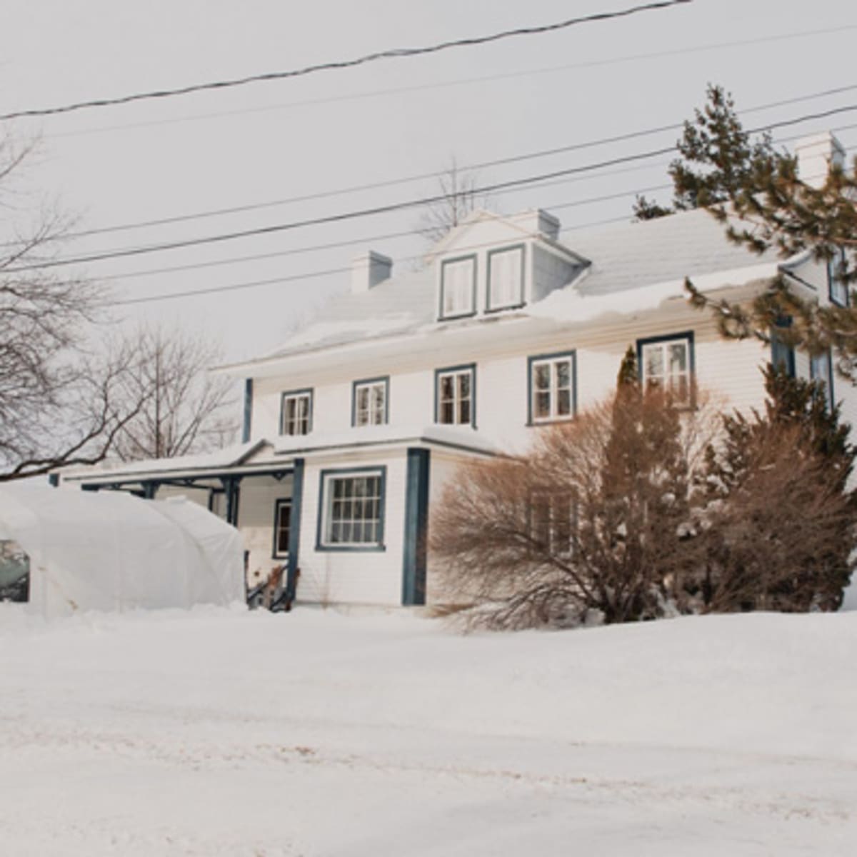 auberge_triangle_dete_1_h