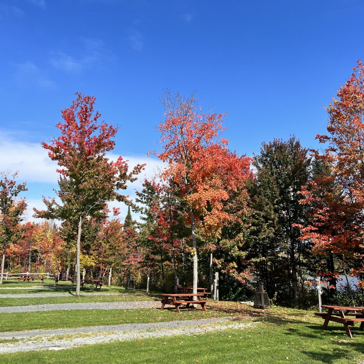 camping_club_chasse_et_peche_sainte_marie_1_a