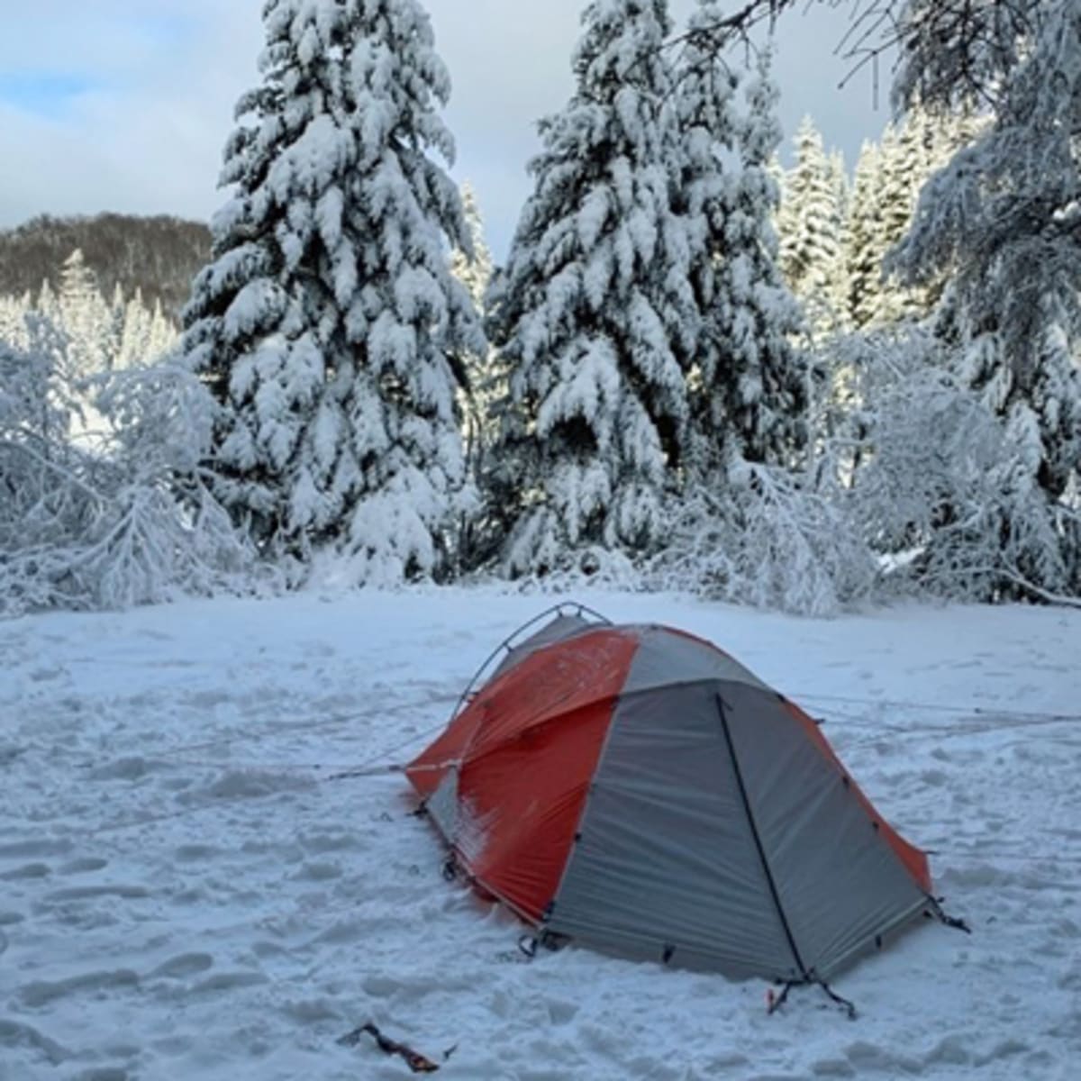 camping_du_domaine_lausanne_2_h